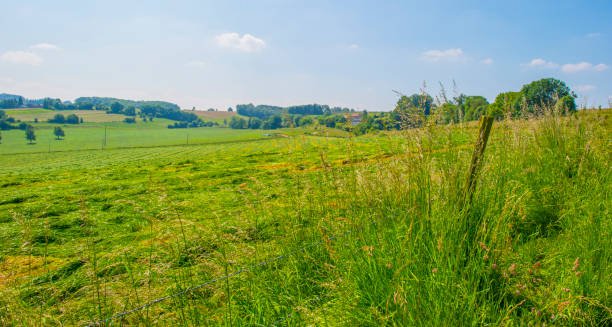 istock Fields and trees in a green hilly grassy landscape under a blue sky in sunlight in summer, 2157330535