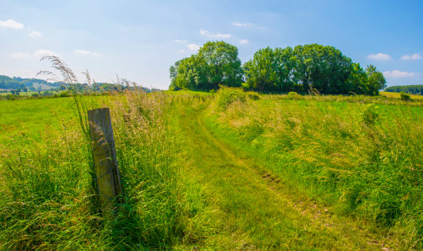 istock Fields and trees in a green hilly grassy landscape under a blue sky in sunlight in summer, 2157330602