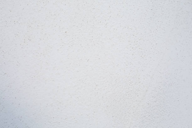 White wall plaster with grey dots. Background picture. Concrete surface panted in light color . High quality photo