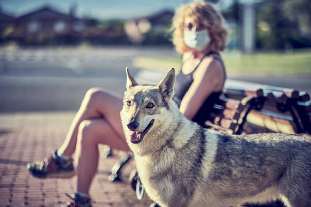 istock A woman sits on a bench with a dog standing next to her. 2157335704