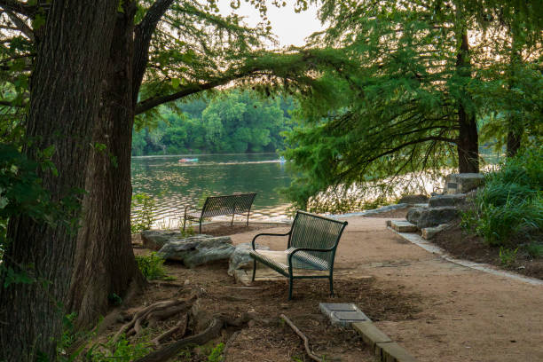A serene park setting along Lady Bird Lake in Austin, Texas, features a tranquil trail lined with empty benches shaded by overhanging tree branches. As the sun sets, its golden rays filter through the trees, illuminating kayakers enjoying the peaceful golden hour on the calm water, surrounded by lush greenery.