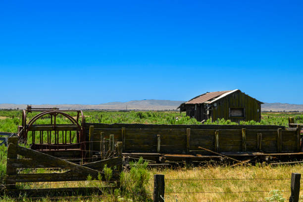 istock Weathered Abandoned Barn Located in Countryside 2157338987