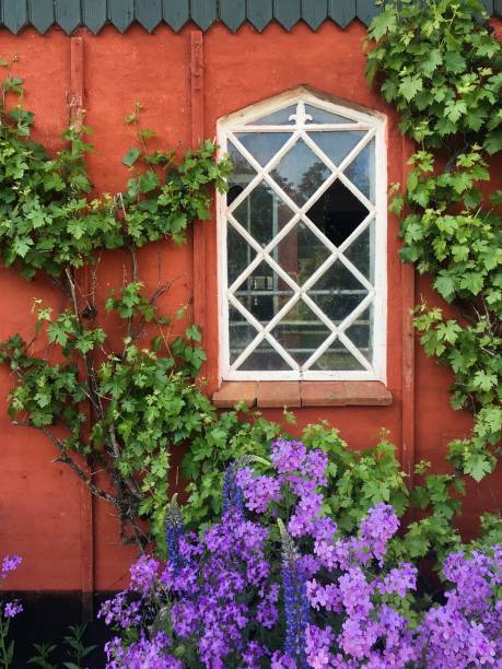 istock Window of a red wooden house 2157341034