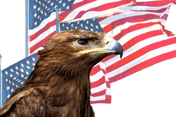 istock Eagle and the American state flag 2157343651