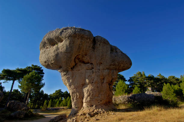 El tormo Alto, Enchanted Forest, Cuenca, Castilla La Mancha, Spain