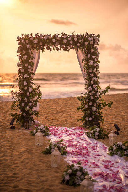 istock Floral frame decoration pathway with beach surrounding 2157343980