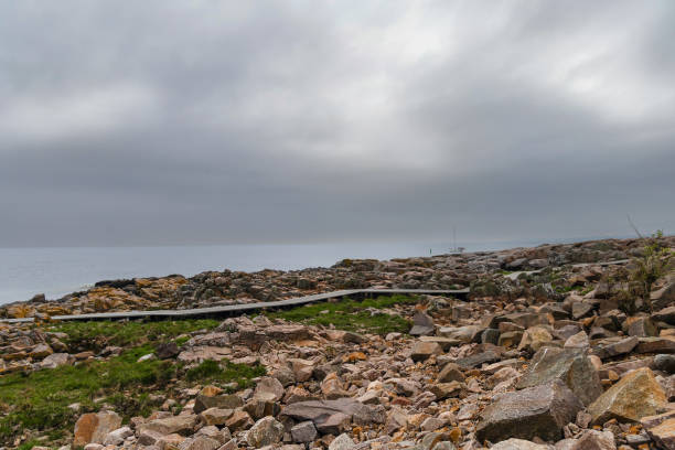 istock Rocky seashore. Stones covered with yellow and green moss and cloudy sky. 2157343981