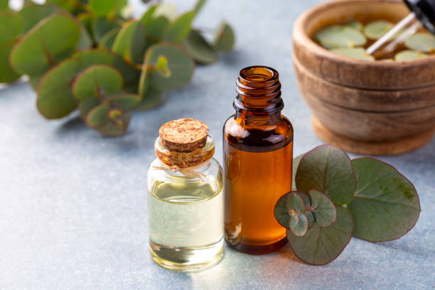 istock Eucalyptus leaves and essential oil 2157345120