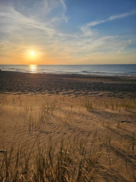 istock Dunes at New Buffalo Beach in Michigan 2157347780