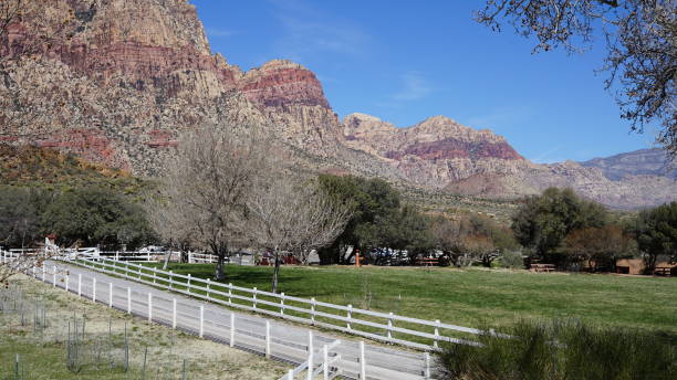 70+ Spring Mountain Ranch State Park Stock Photos, Pictures & Royalty ...