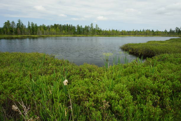 istock 202107 Tahquamenon SP MI 2157363381