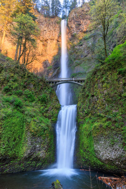 istock Multnomah Falls, Columbia Gorge, Oregon 2157363487
