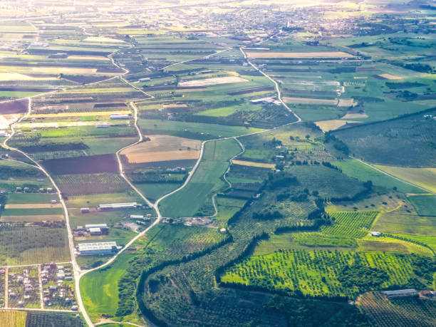 istock Aerial view of green agricultural fields 2157368281