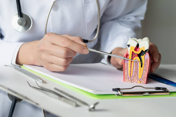 istock The dentist shows the disease and how the tooth is formed. 2157368763