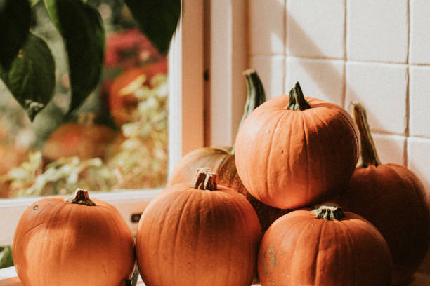 istock Halloween pumpkin pile close up background 2157369645