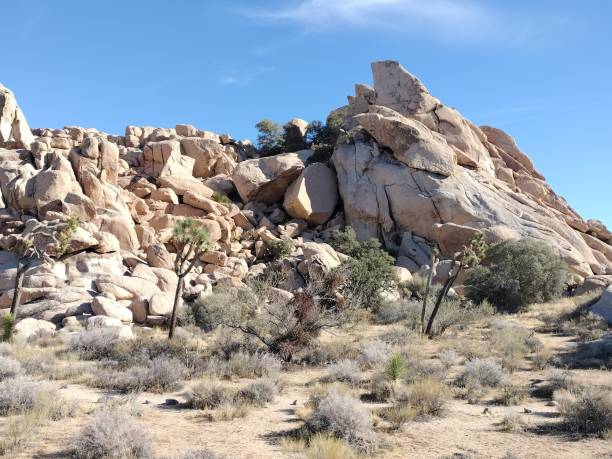 istock Rock formation in Joshua Tree national Park 2157369766