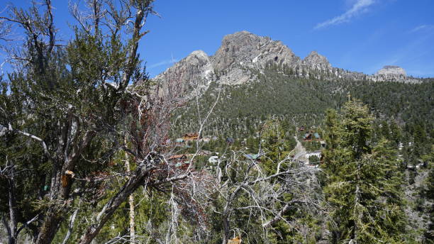 istock Mt Charleston in April with Snow 2157371424