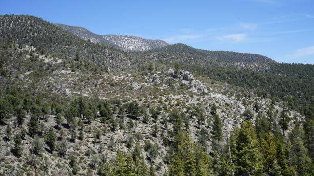 istock Mt Charleston in April with Snow 2157371607