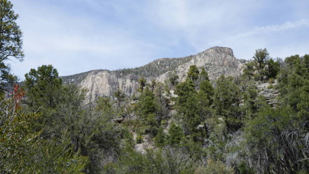 istock Mt Charleston in April with Snow 2157372162