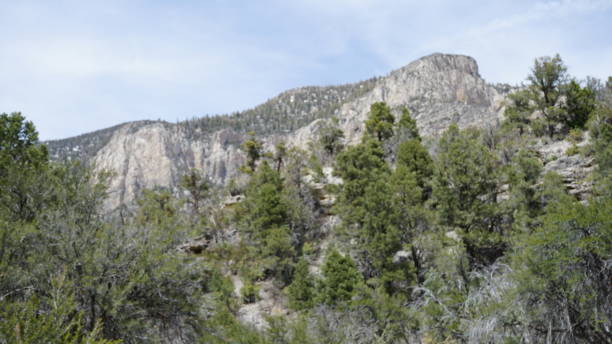 istock Mt Charleston in April with Snow 2157372181