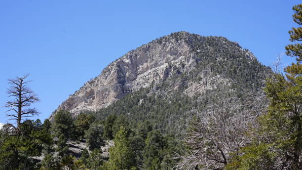 istock Mt Charleston in April with Snow 2157372424