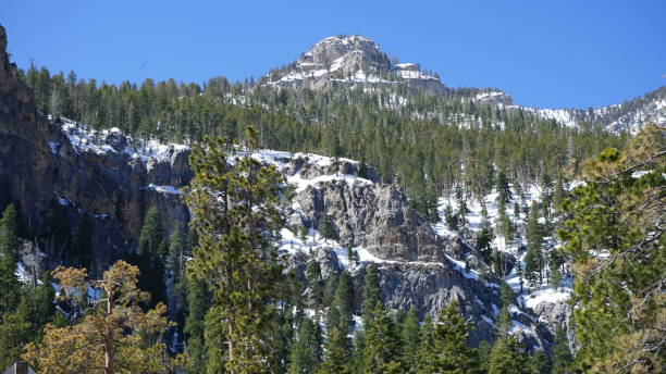 istock Mt Charleston in April with Snow 2157372722