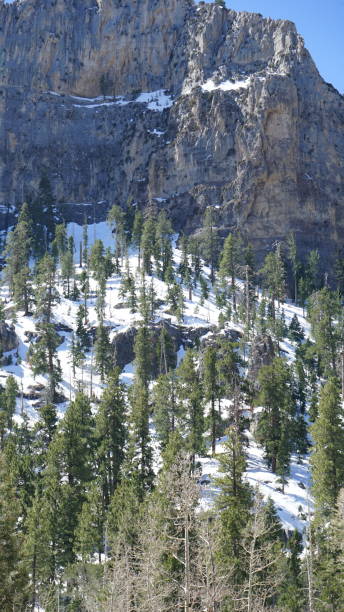 istock Mt Charleston in April with Snow 2157372818