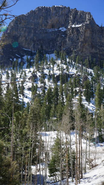 istock Mt Charleston in April with Snow 2157372856