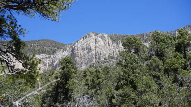 istock Mt Charleston in April with Snow 2157372970