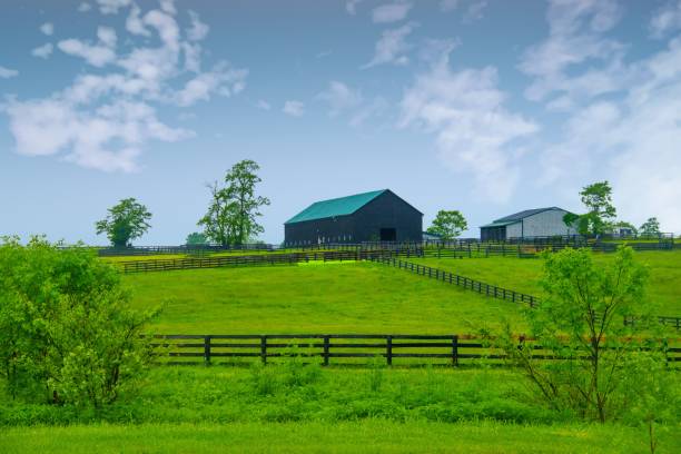 istock Barn with fence- Lexington. Kentucky 2157374534