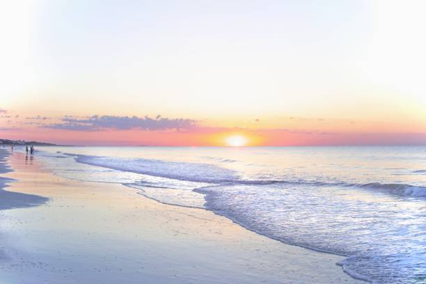 istock Beach Sunrise-Hilton Head, South Carolina 2157374557