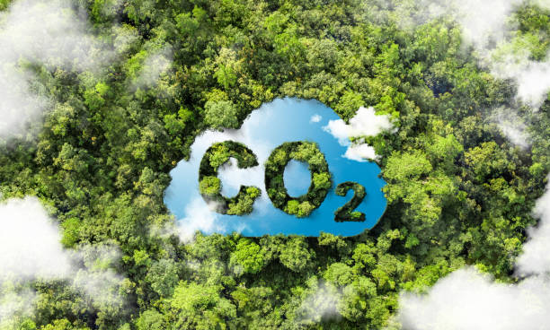istock Reduce carbon dioxide emissions to limit climate change and global warming. Co 2 text in a bubble with low CO 2 forest molecule. 2157374846