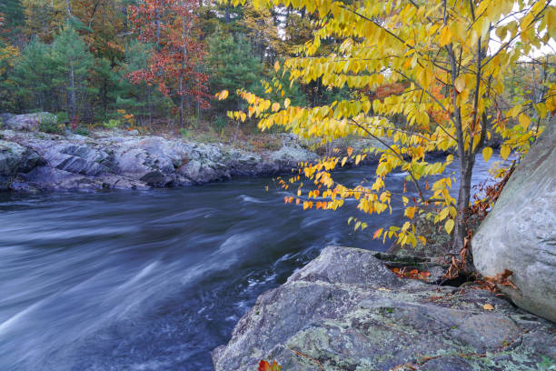Autumnal leaf colour in Vermont, USA.