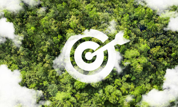 istock New goals, plans and vision for 2025, sustainable environmental development goals Green Business ESG Co2 SDGs and NetZero Concepts World Environment Day Save the World. 2157375659