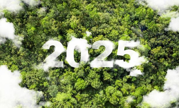 istock New goals, plans and vision for 2025, sustainable environmental development goals Green Business ESG Co2 SDGs and NetZero Concepts World Environment Day Save the World. 2157375713