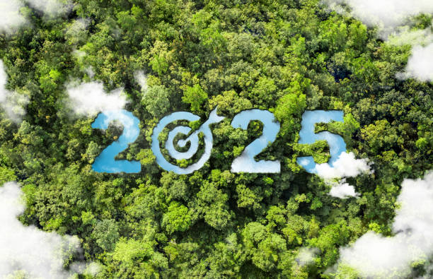 istock New goals, plans and vision for 2025, sustainable environmental development goals Green Business ESG Co2 SDGs and NetZero Concepts World Environment Day Save the World. 2157375843