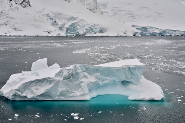 istock Lemaire Channel, Antarctica 2157377333