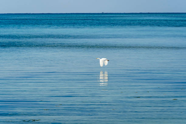 West jetty in Taketomi Island, Okinawa, Japan.