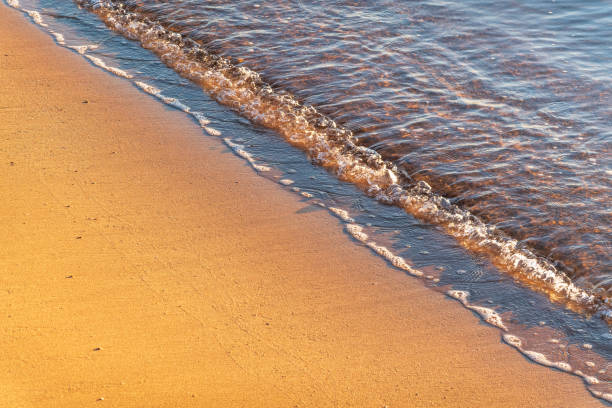 istock Soft wave of the sea on the sandy beach. 2157388551