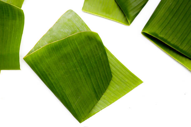 istock Green leaves of banana tree 2157391523