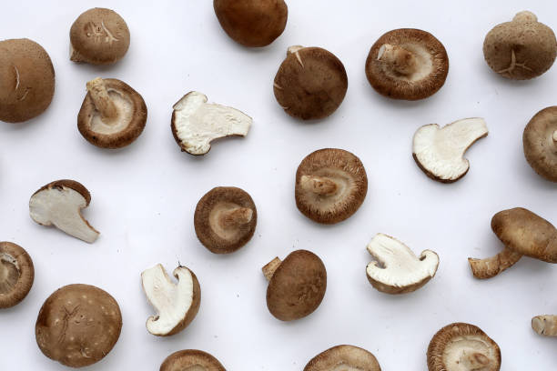 istock Fresh shiitake mushrooms on white background. 2157392088