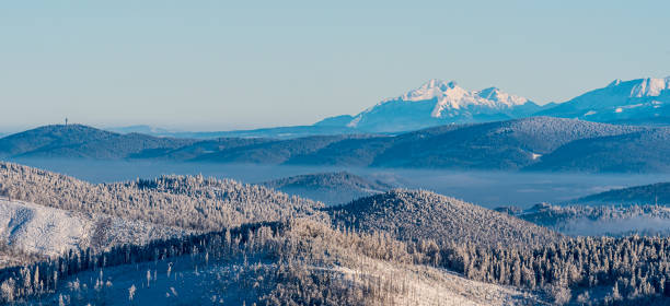 Belianske Tatry and Jahnaci stit in High Tatras mountains from Velka Raca in Kysucke Beskydy mountains during freezing winter day Belianske Tatry and Jahnaci stit in High Tatras mountains from Velka Raca in Kysucke Beskydy mountains on slovakian - polish borders during freezing winter day high tatras stock pictures, royalty-free photos & images