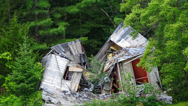 The campfire pit of an abandoned cabin in the wilderness.