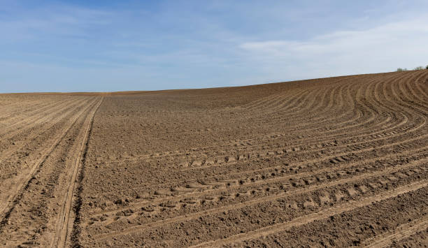 istock preparing the soil for planting plants in agriculture 2157395856