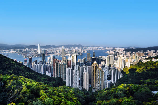 istock Hong Kong Skyline from Victoria Peak 2157398859