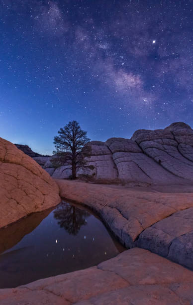 istock White Pocket Pond, Vermilion Cliffs National Monument, USA. 2157399251
