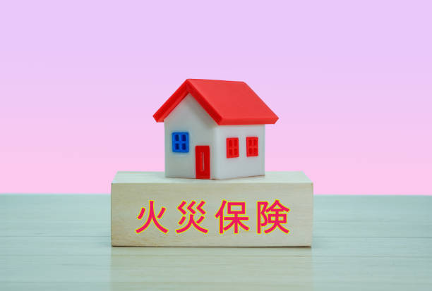 istock A toy house placed on a tree and the words 