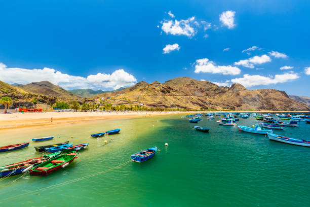 istock Playa de las Teresitas in Tenerife 2157409482