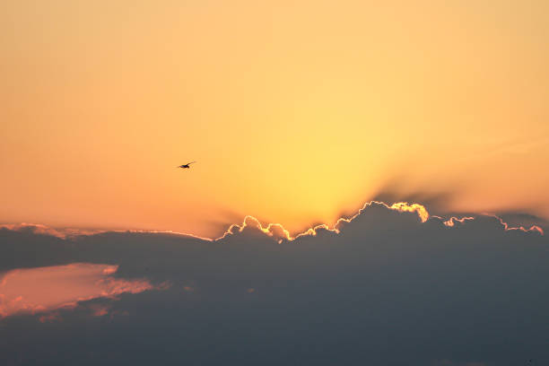istock Bright sunset sky. Unusual clouds. Contrasting sky and bird. 2157412100