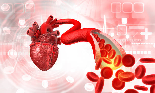 istock Human heart with cholesterol blocked artery 2157412176